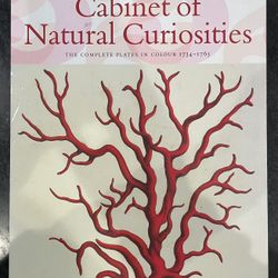 Cabinet of Natural Curiosities by Albertus Seba
