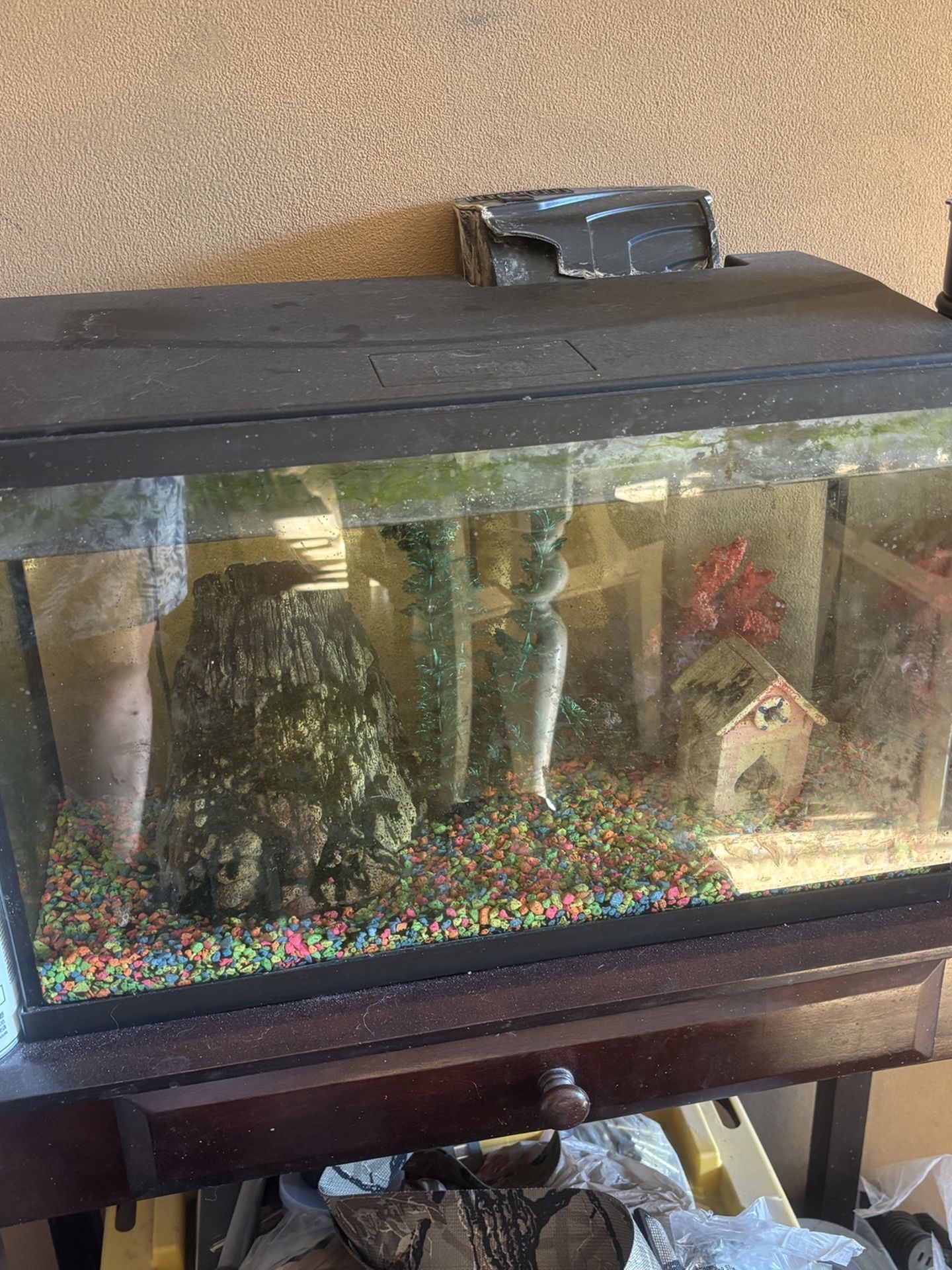 Two Fish Tanks