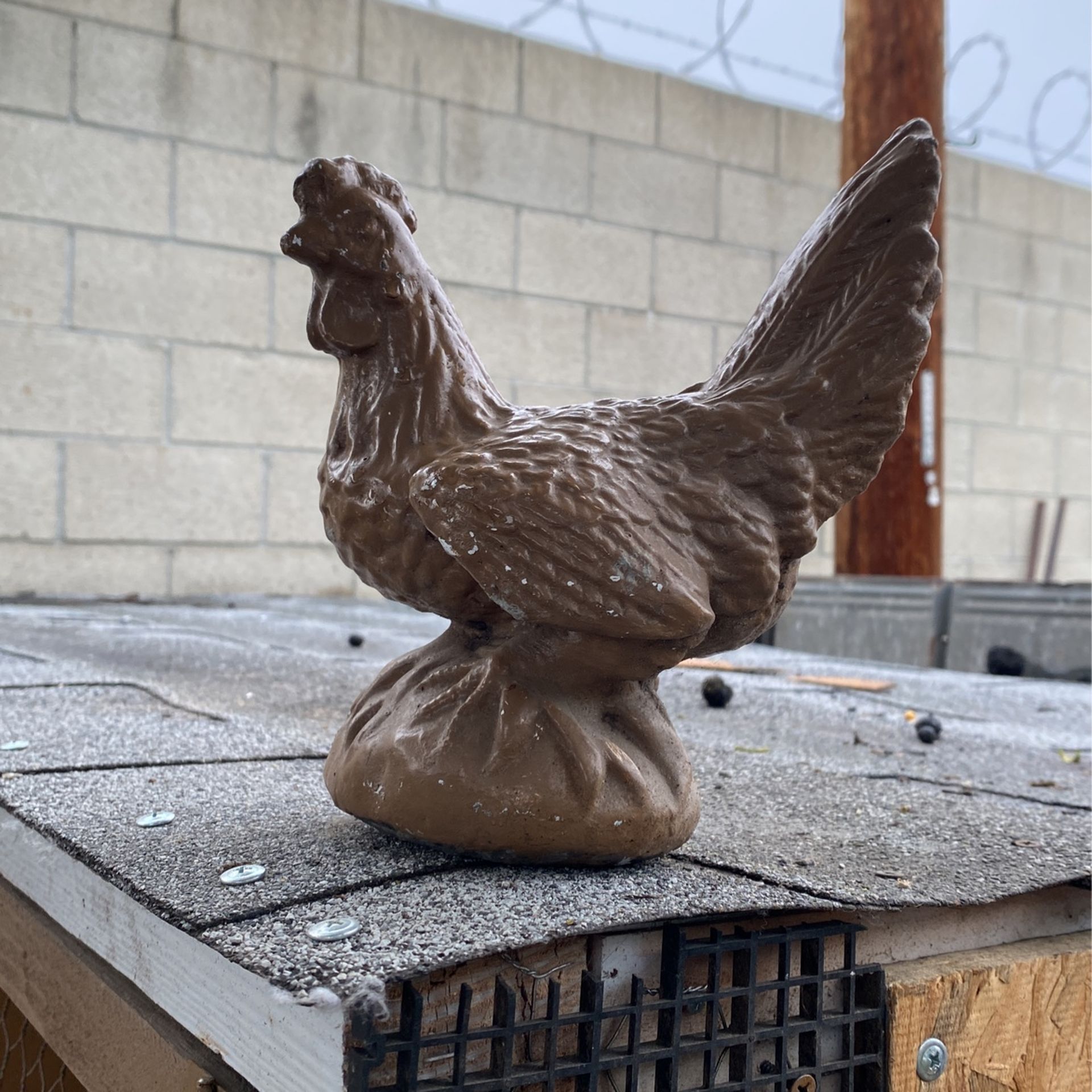 Bantam Asil