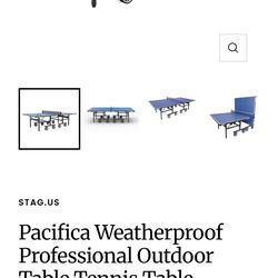 Weatherproof Pro Ping Pong Table