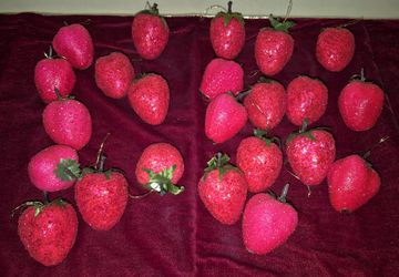 Strawberry 🍓 Christmas Tree Ornaments 