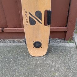 Electric Skate Board 
