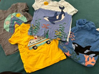 Hanna Anderson Shirts