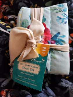 Pioneer Woman 2 sham set
