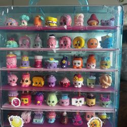 Shopkins In Collector Case