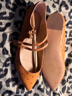 Banana Republic Pointed-Toe Flats Size 6