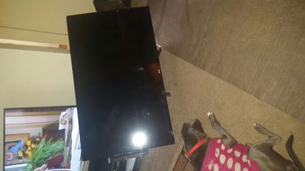 60 inch sanyo tv screen need fixed 100