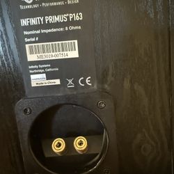 Infinity Speakers P163