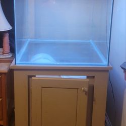 60g Rimless Cube Aquarium