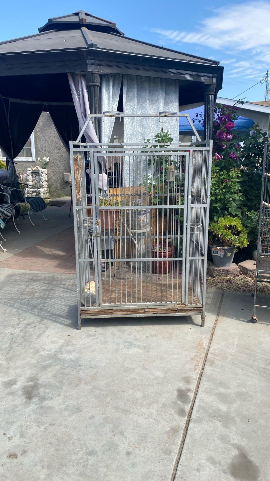 I have two bird cages One Is a large and the Other one is a medium