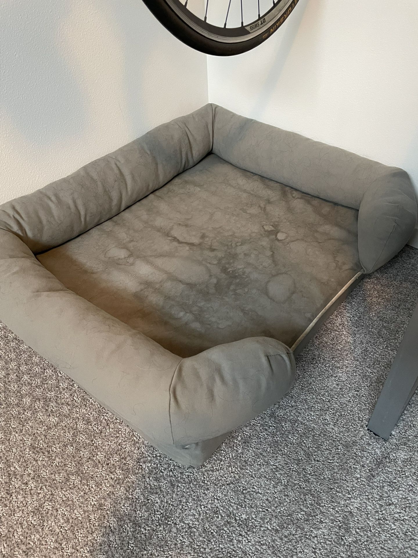 Free Dog Bed 