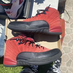 Jordan’s 12 