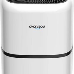 Okaysou AirMic4S Air Purifier