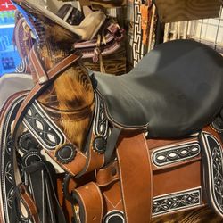Horse Saddles 
