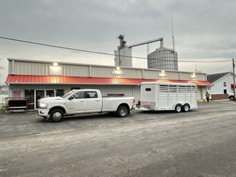Livestock Horse Trailer Transport