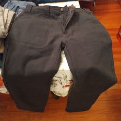 Coleman Fleeced Line Blue Carpenter Pants