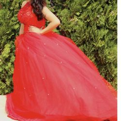 Red Designer Dress 