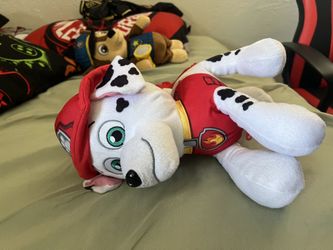 Paw Patrol