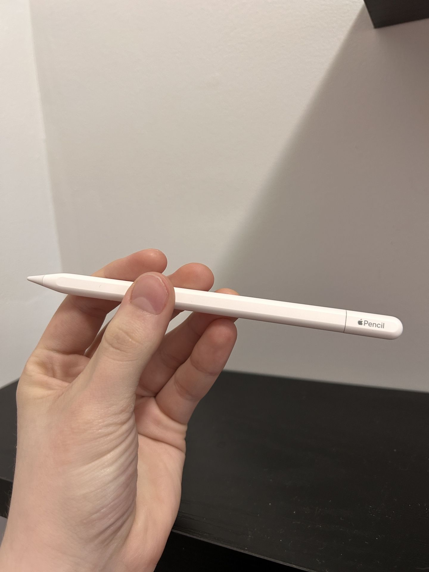 Apple iPad Pencil USB-C
