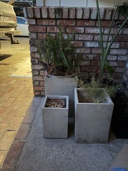 Set of 3 grey cement planters only