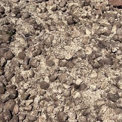 Free Horse Manure Fertilizer 