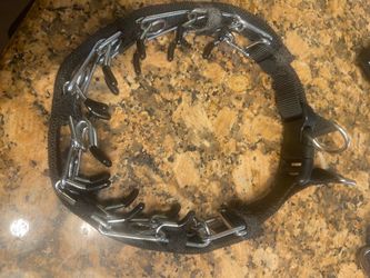 Prong collar