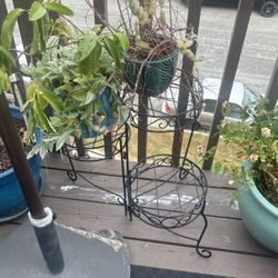 Plants With Plants Stand $50 