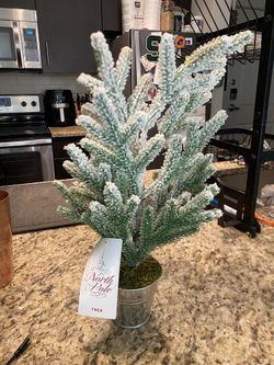 North Pole Trading Co. Decorative Christmas Mini Pine Tree