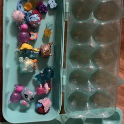 Spin Master Ltd. Hatchimals Colleggtibles Toys