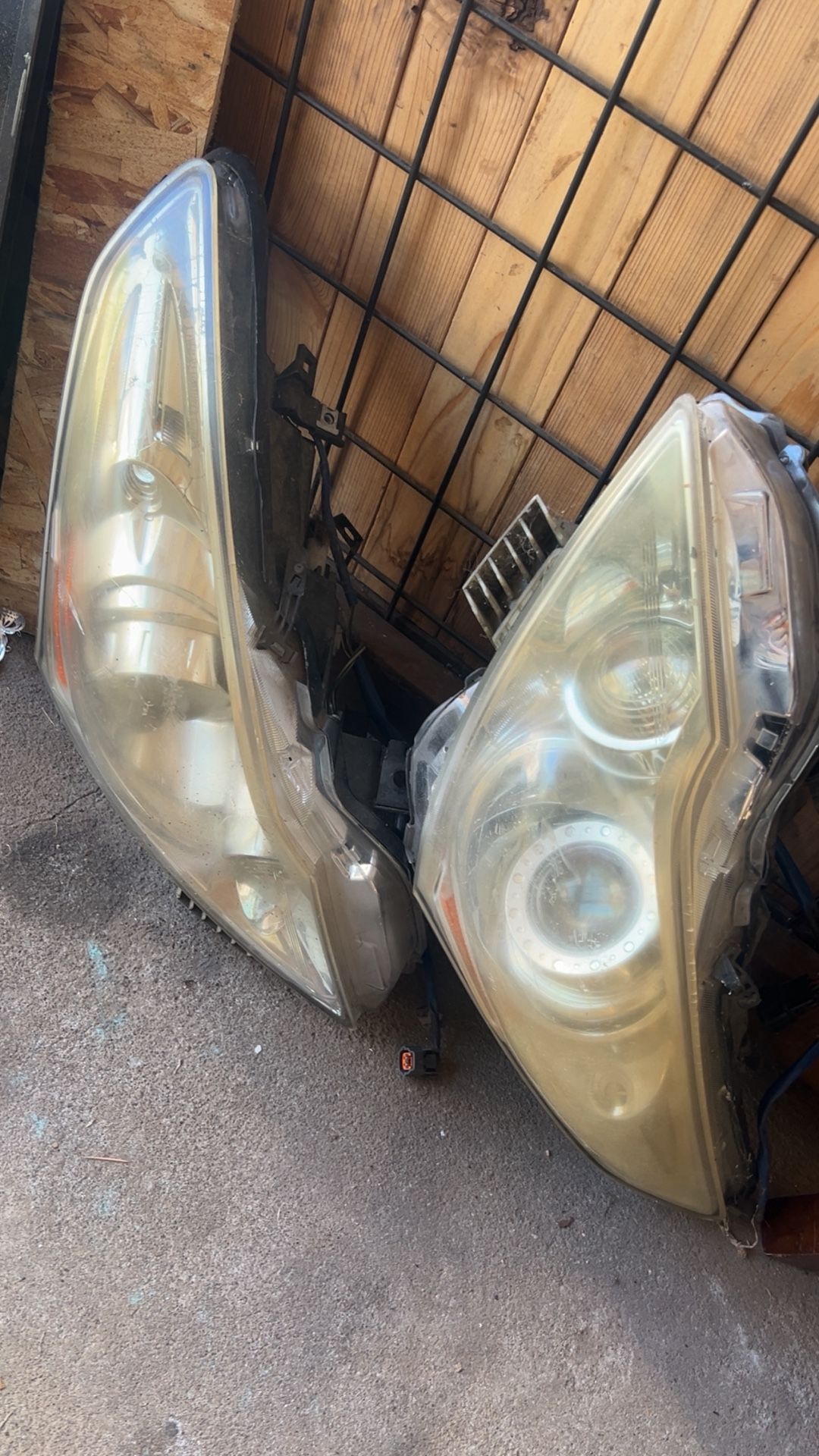 G37 Headlights