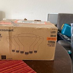6 Eco smart BR40 Bulbs