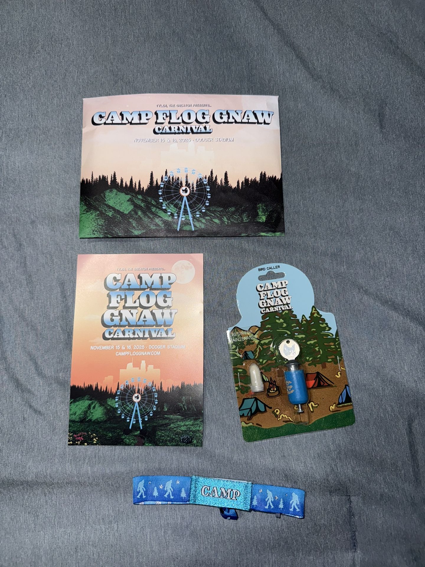 CAMP FLOG GNAW CONCERT TICKET