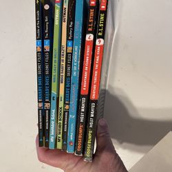 Goosebumps RL Stine /My Weird School / Hardy Boys Books Set