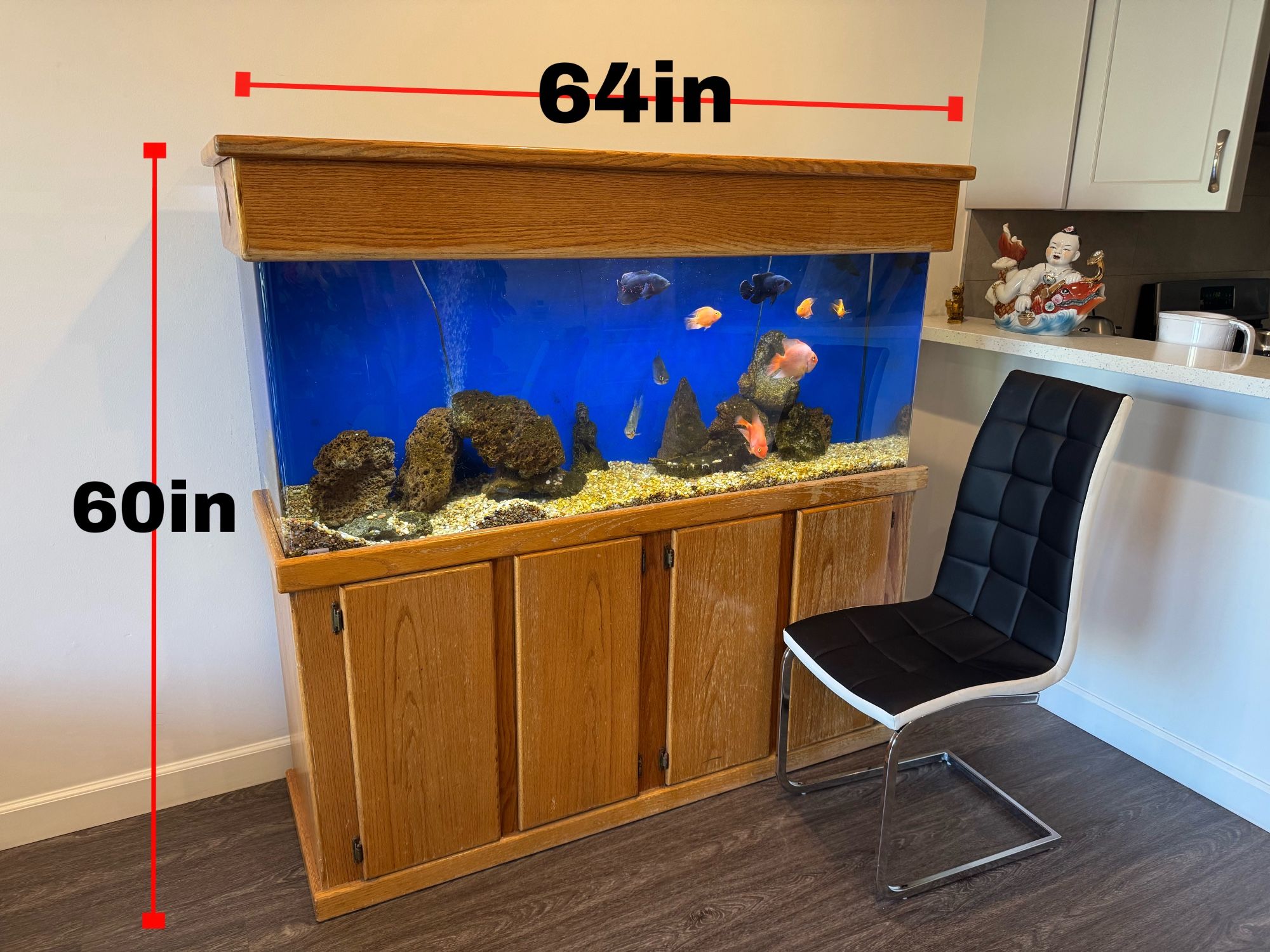 Fish Tank