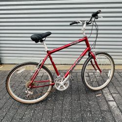 Raleigh Hybrid Bike 
