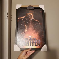 Black Panther Picture