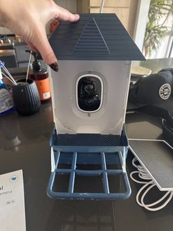 Smart Bird Feeder with Built-In Wi-Fi Camera