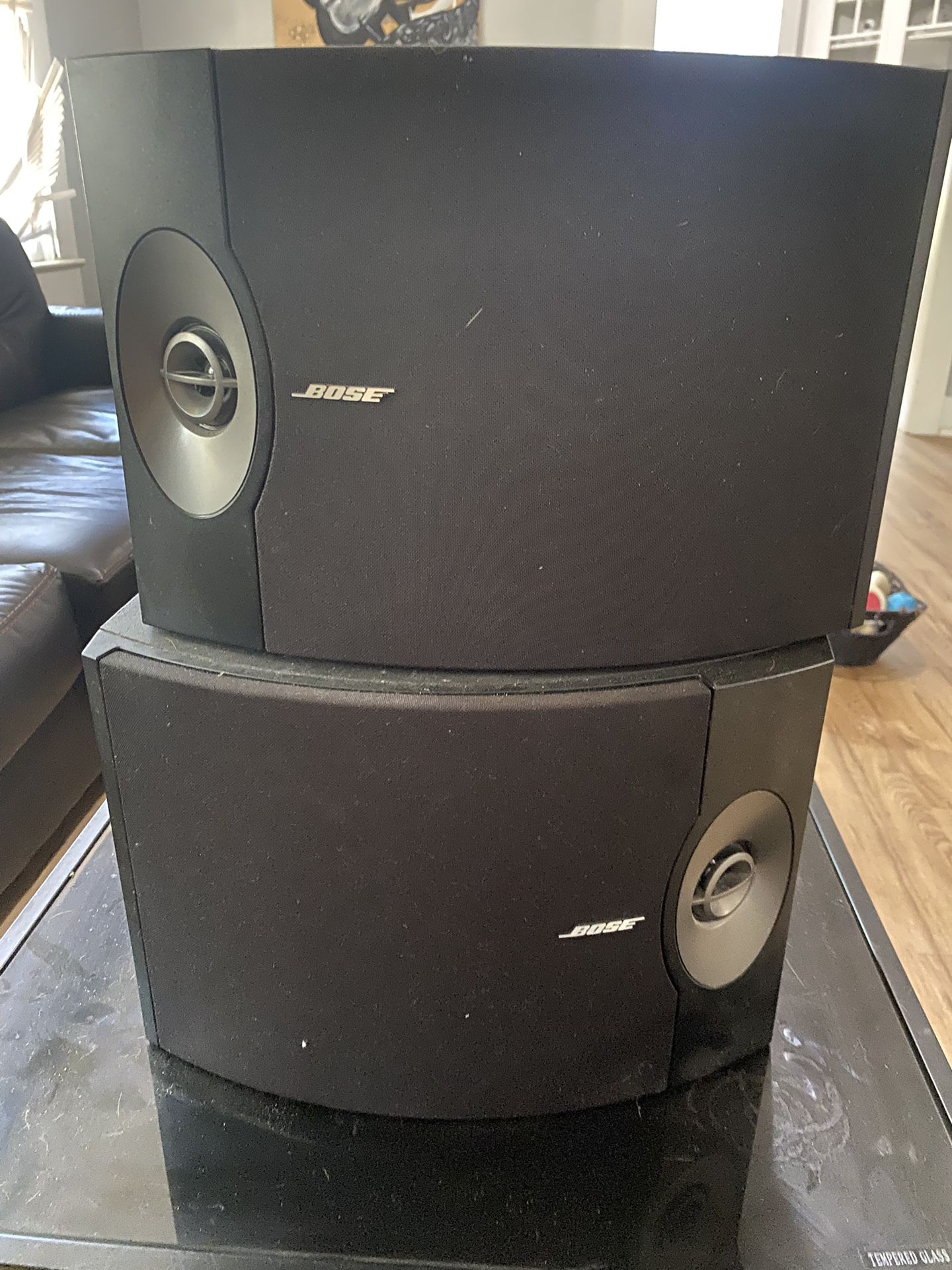 Bose 301V Speakers