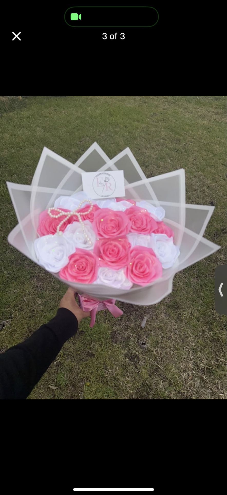 18 Rosas Eternas - 18 Eternal Roses