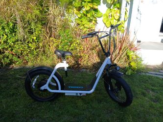 Scooter eléctrico para adultos