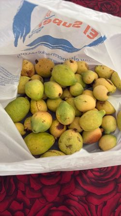 Organic guavas