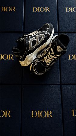 Dior B30 Navy/White