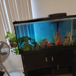 Fish Tank With Everything 