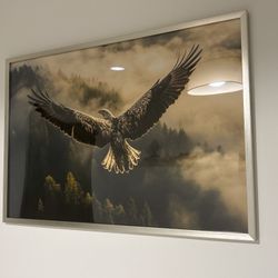 Large Framed Eagle in Flight Wall Art – 36.75” x 25”