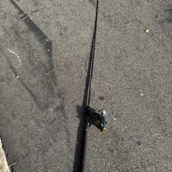 Roddy Fishing Pole