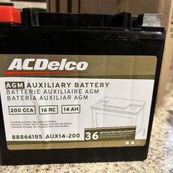 AC Delco AGM Aux Battery