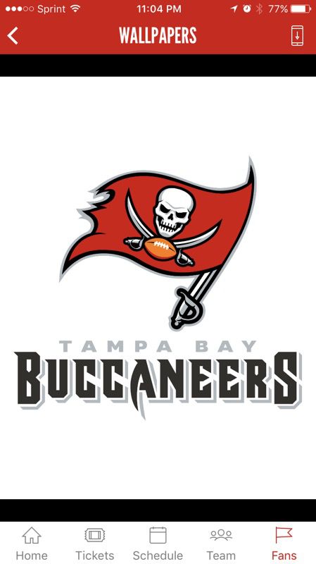 2 tickets Tampa bay Buccaners/New Orleans saints, December 31, section 131