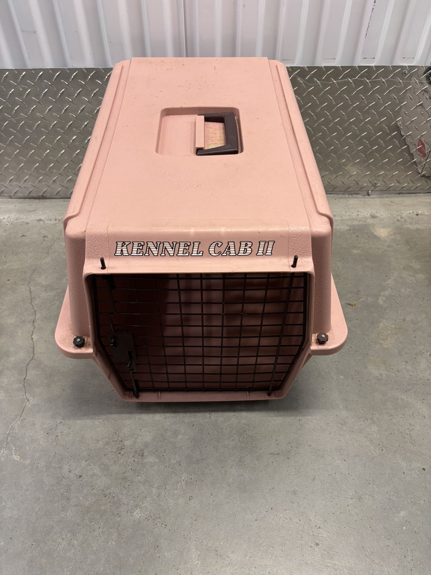 Small Dog Or Cat Carries 