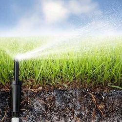 Yard Help/Sprinklers