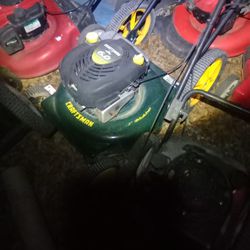 Lawn Mowers and Mulchers